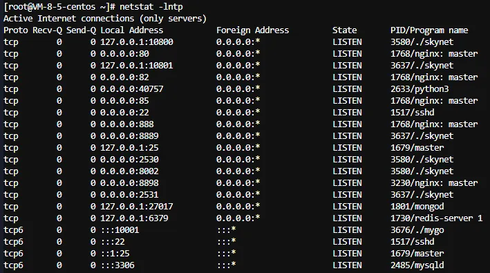 咸鱼之王完美内购最终修复版+全程游戏搭建图文配置教程